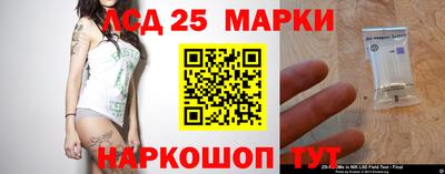гашик Будённовск