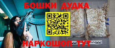 гашик Будённовск