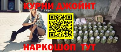 гашик Будённовск