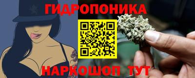 гашик Будённовск