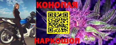 стафф Бузулук