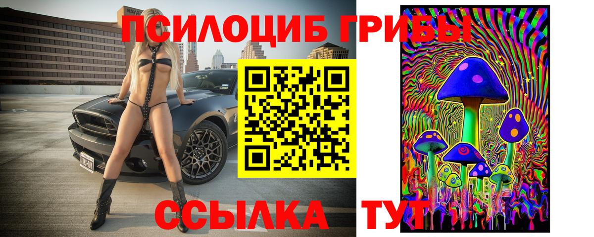 Галлюциногенные грибы Magic Shrooms  Вход с VPN  Строитель  Галлюциногенные грибы ЛСД 